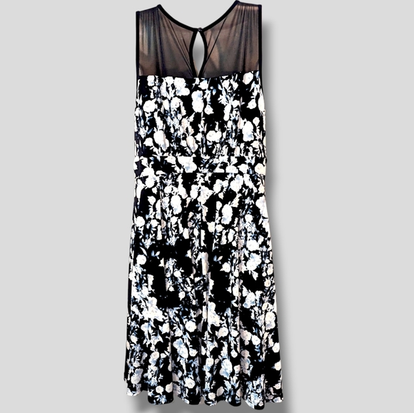 👗Gorgeous Dress by En Focus Studios Floral Knee Length, Blue & White - Picture 5 of 6